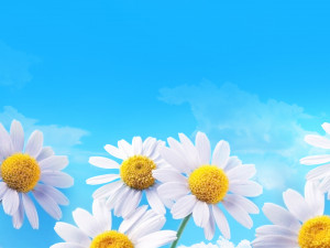 Праздничный концерт ко Дню семьи, любви и верности